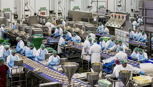 携手佛山专业污水处理厂家，为食品厂定制高效化污水净化工程方案，协同雾炮车构建全方位环保屏障